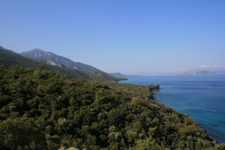 Mavi Yol3