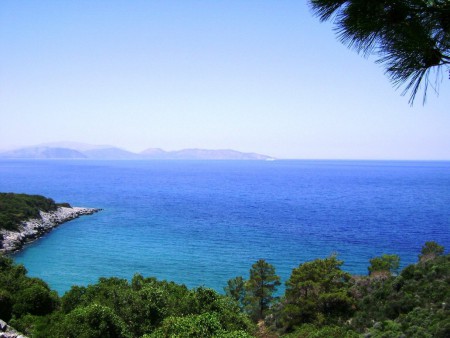 Mavi Yol4